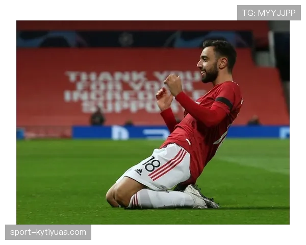 B费与德布劳内组织覆盖下的核心驱动机制差异