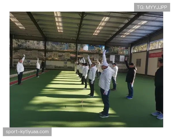 少见外物入场判罚规则解析及裁判处理流程揭秘